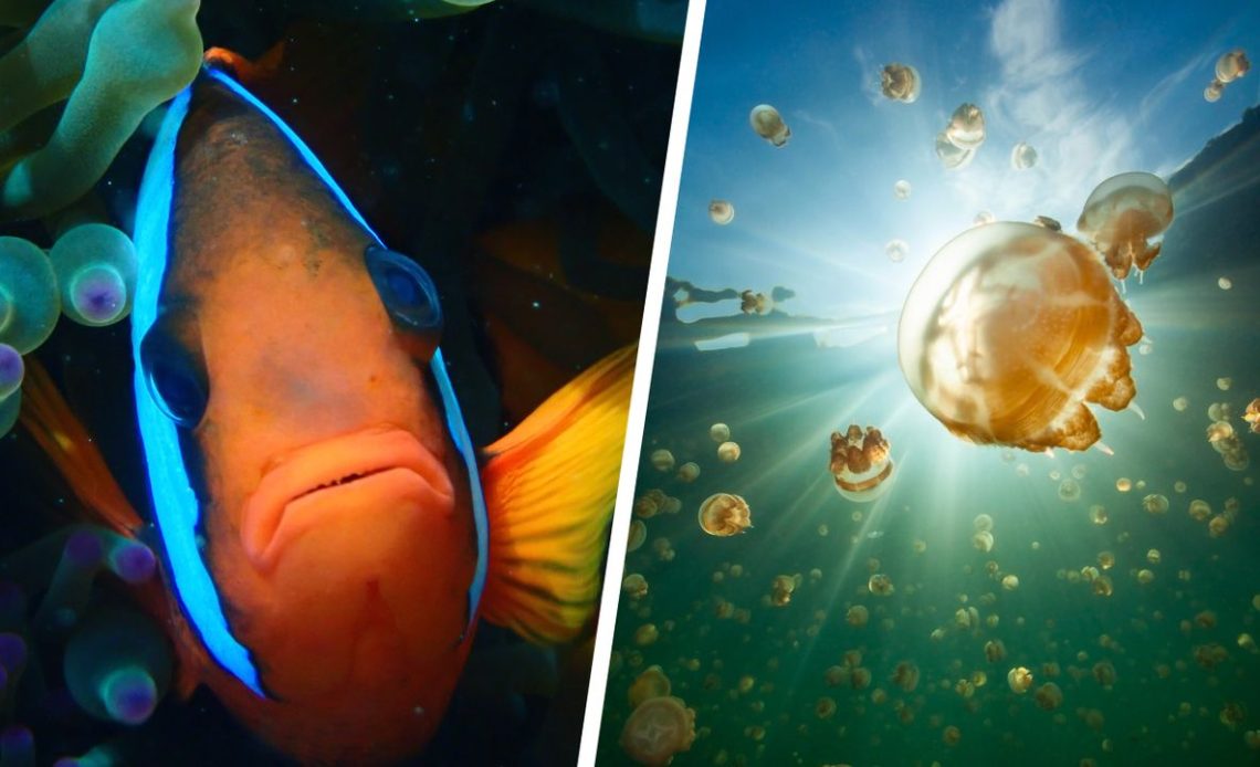 RSB Photography Competition Winners Revealed