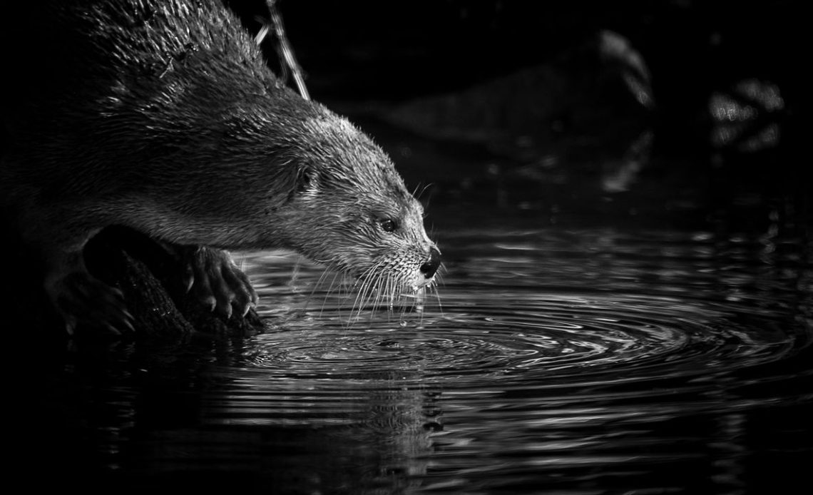 Best Photo Competitions to Enter in April 2026